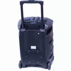 Мощна тонколона 200W 12