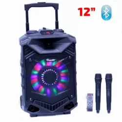 Мощна тонколона 200W 12